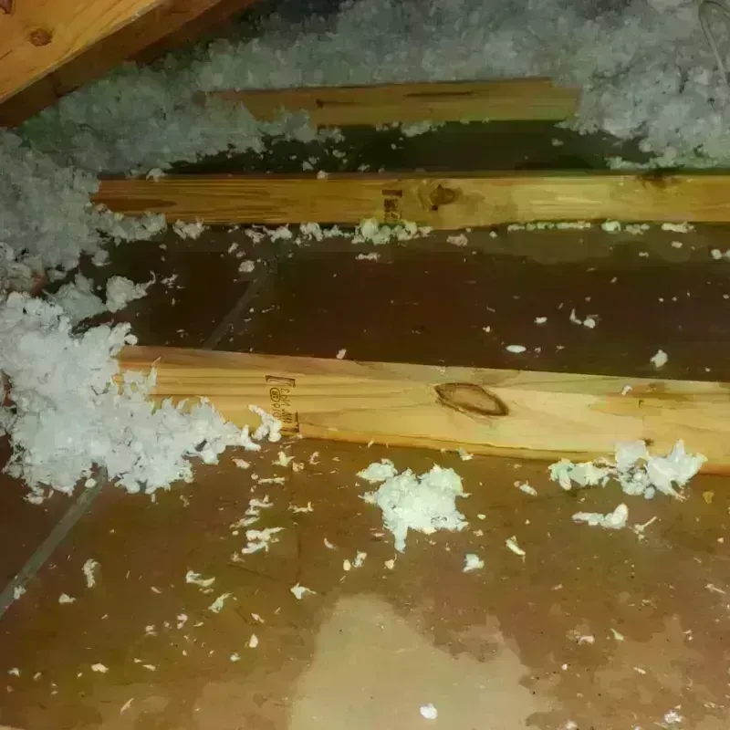 Attic Water Damage in Allen County, KY