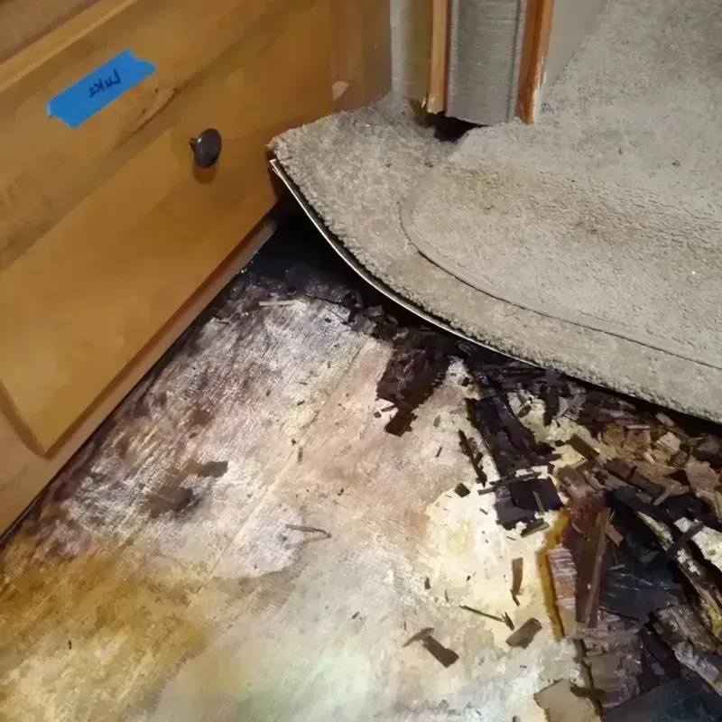 Wood Floor Water Damage in Allen County, KY